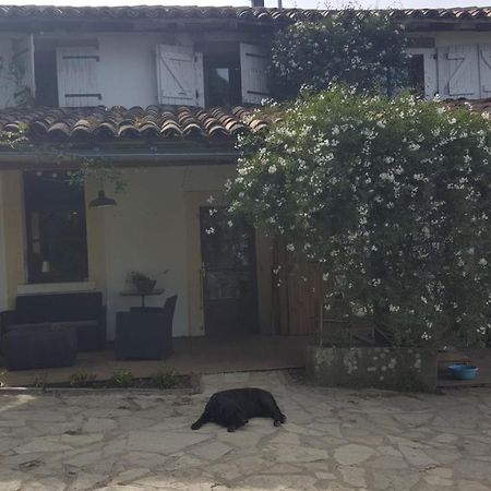 Hotel La Sourciere D'Eros Bellesserre Zewnętrze zdjęcie
